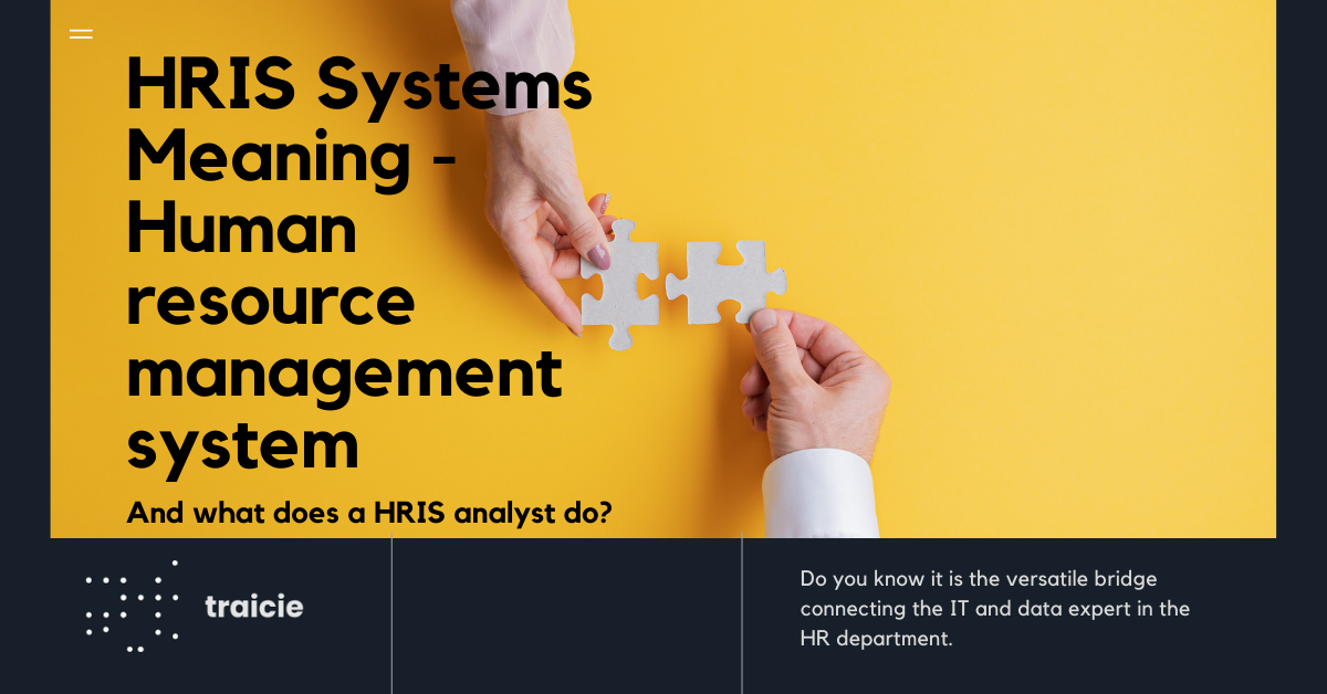The meaning of HRIS and human resource management systems [A-Z]