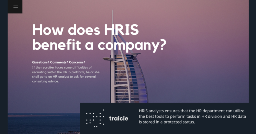 What is HRIS and what are the reasons to use HRIS system in company?
