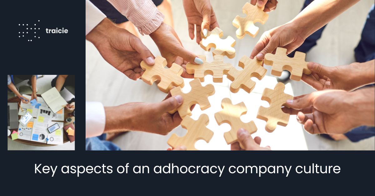 Key aspects of an adhocracy company culture